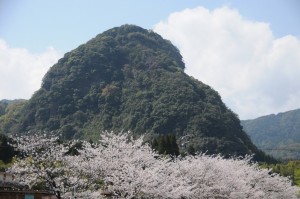 岩剣と桜